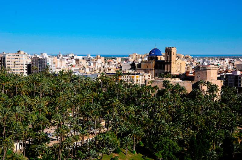 Palmeral-de-Elche