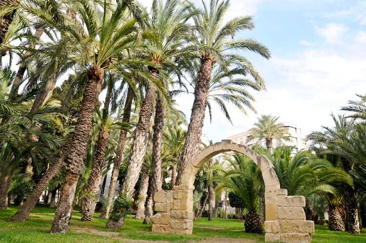 Parque-Municipal-ELCHE_